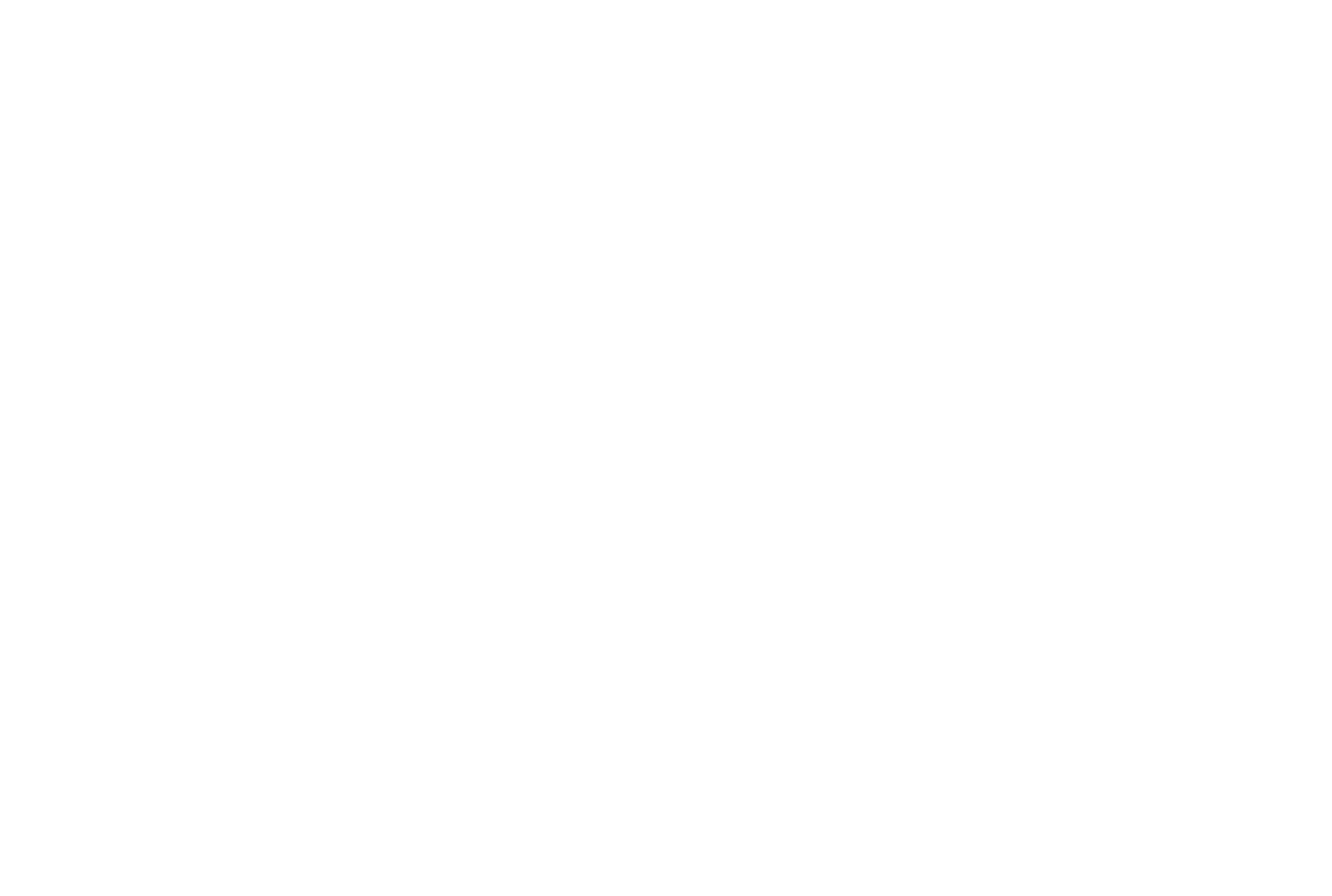 Fusion Paths logo in white
